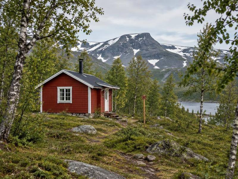 Röd raststuga i fjällbjörkskog